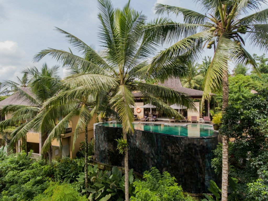 green palm tree near brown concrete building during daytime