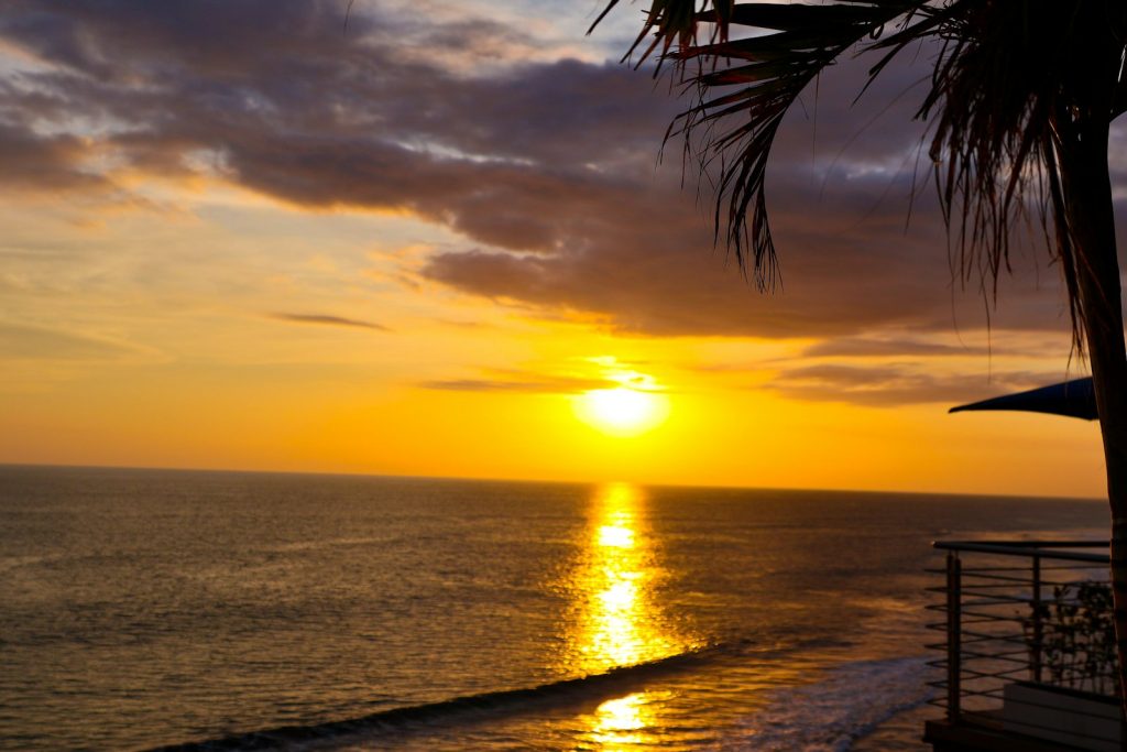 The sun is setting over the ocean with a palm tree in the foreground