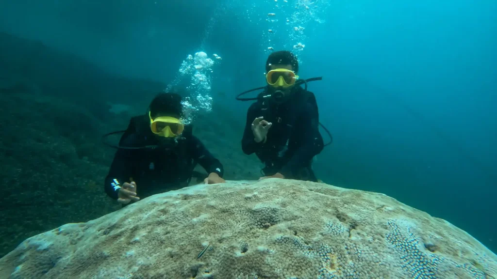 Two divers over a coral reef in clear blue water