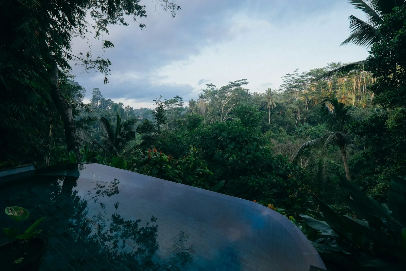 Infinity pool edge overlooking the jungle canopy