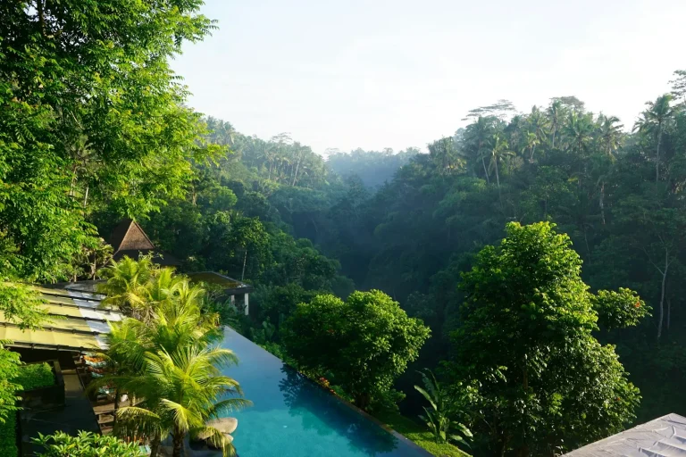 Infinity pool above a misty jungle valley