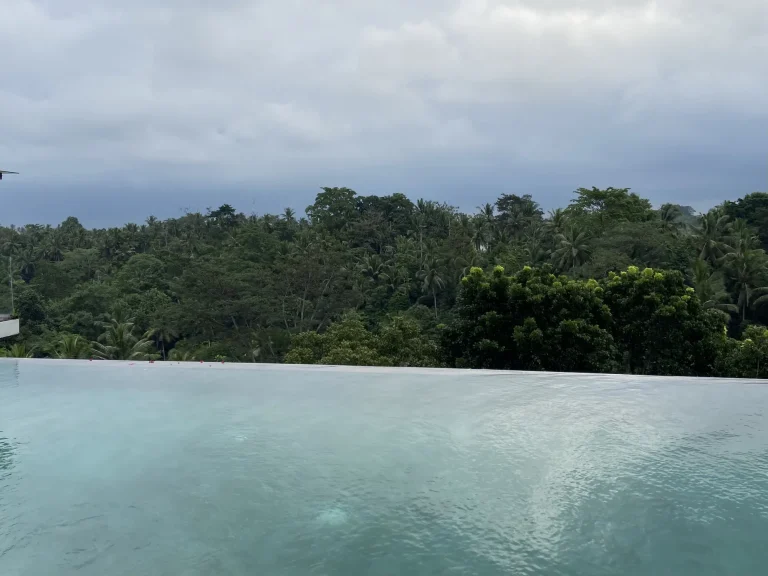 Infinity pool looking over the Ubud jungle